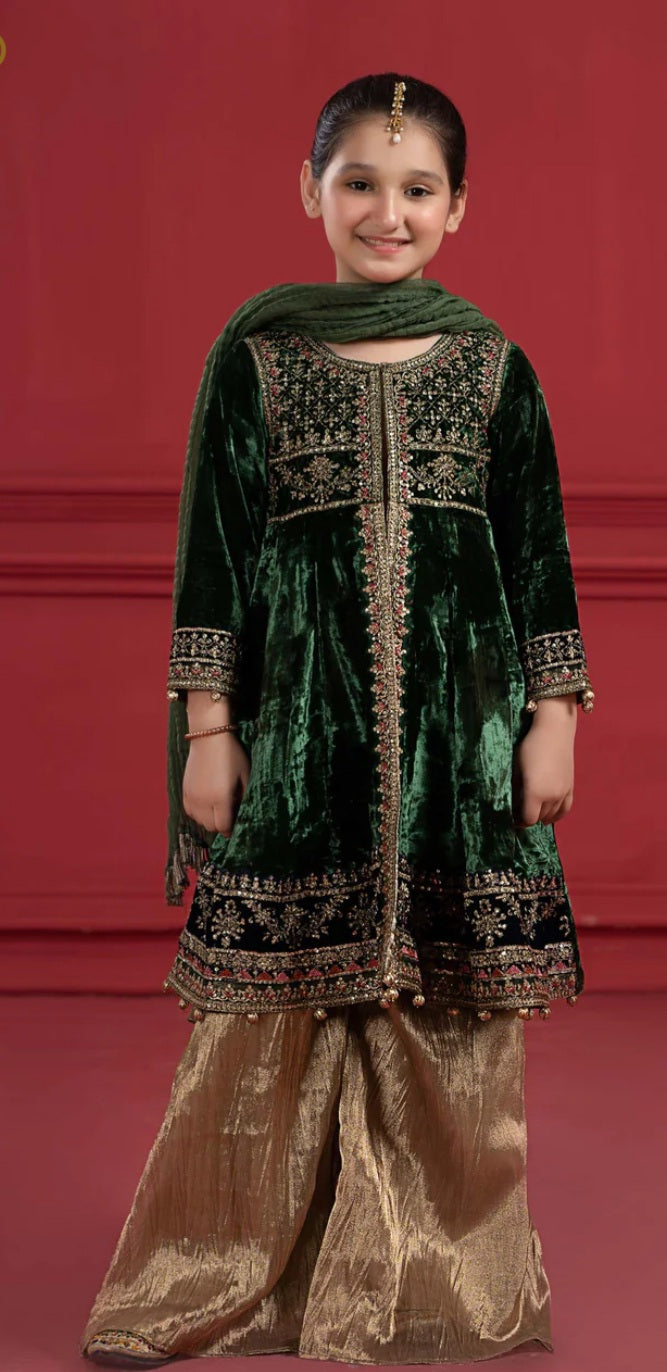 Velvet girls 3pc dress