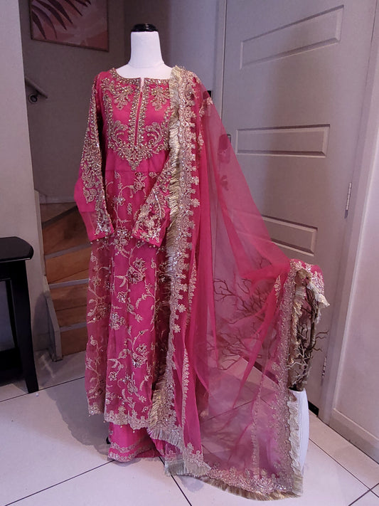 Watermelon pink net 3pc dress