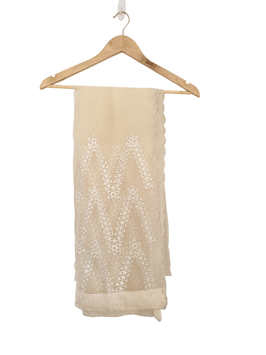 Chicken Kari Organza Dupatta