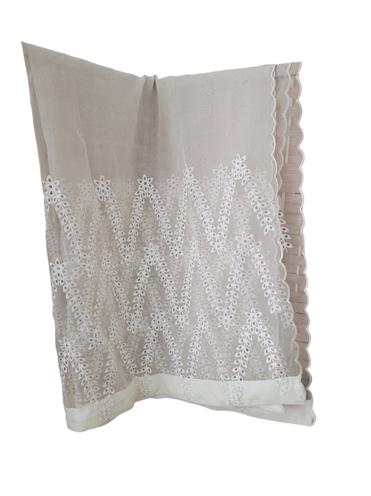 Chicken Kari Organza Dupatta