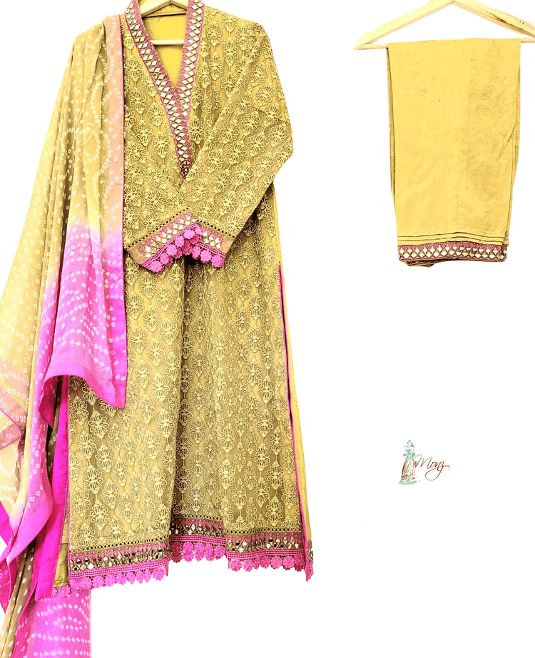 Luxury Embroidered Organza Dhani 3 Piece Suit with Mirror Work